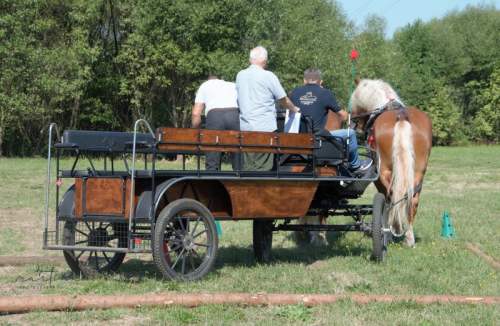 DSC_4335            a